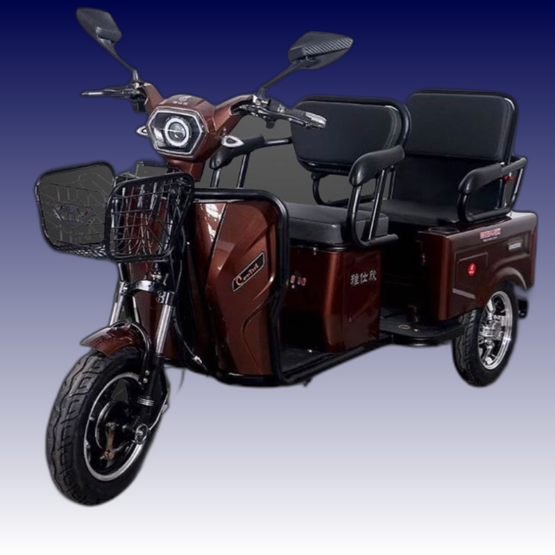 48V Electric Trike - Rickshow