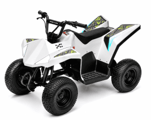 350W 36V Electric Hyper GoGo Quad 4-Wheeler Sport ATV