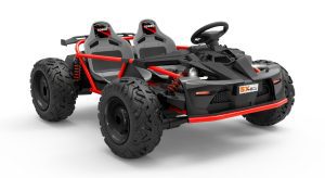 48V Twin Seater GoKart