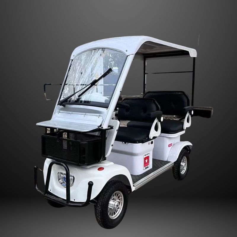 1000w-72v-20ah-s11-mini-electric-golf-cart
