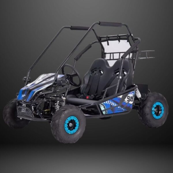 60v-2000w-twin-seater-electric-go-kart-full-suspension