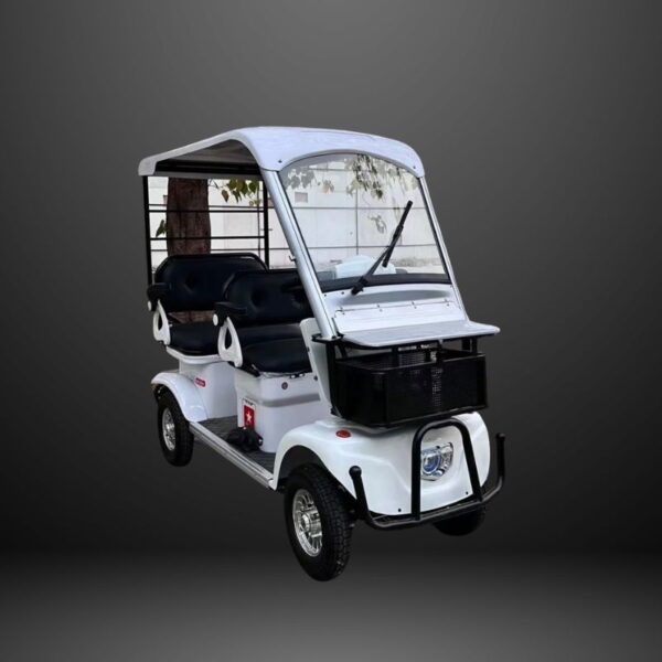 1000w-72v-20ah-s11-mini-electric-golf-cart
