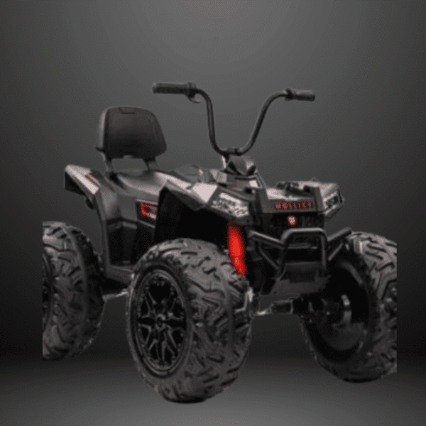24v-2129-4-4-electric-atv-remote-control
