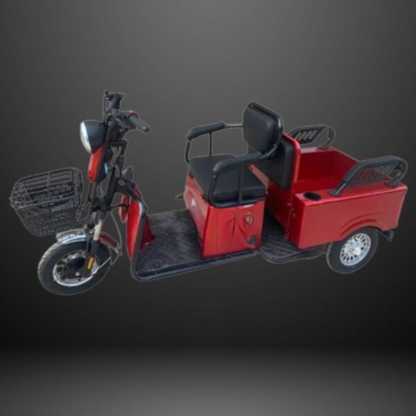 48v-electric-trike-rickshow