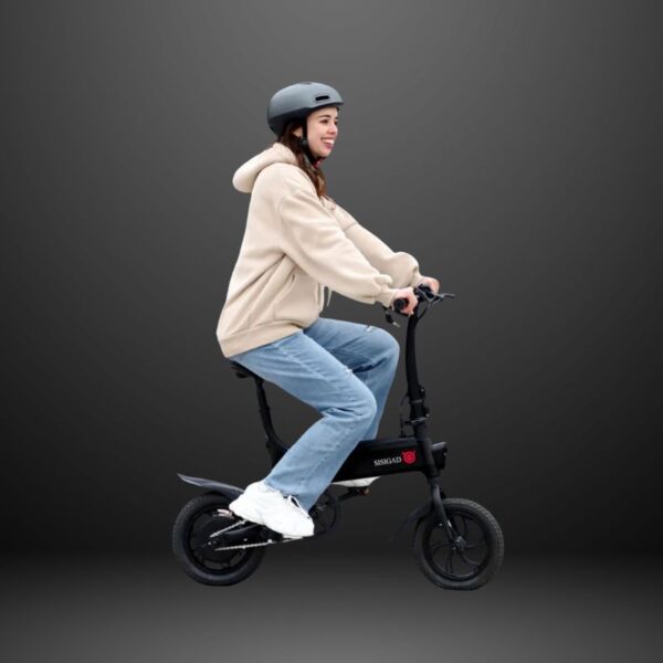 36v-14-lynx-plus-folding-electric-bike