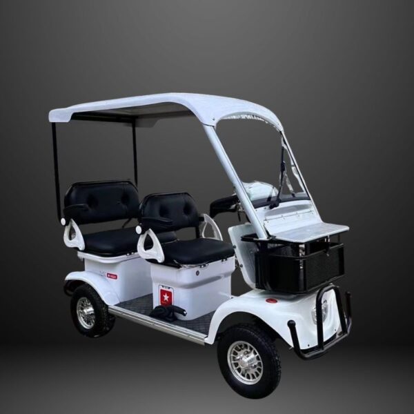 1000w-72v-20ah-s11-mini-electric-golf-cart