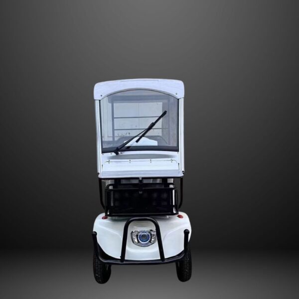 1000w-72v-20ah-s11-mini-electric-golf-cart
