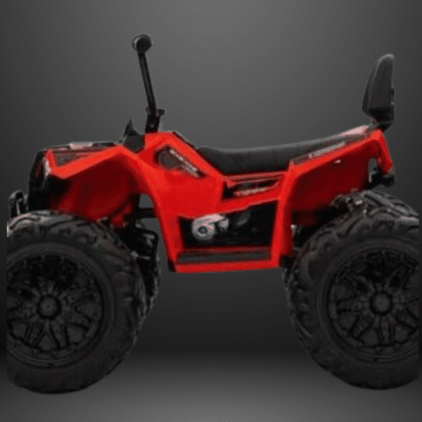 24v-2129-4-4-electric-atv-remote-control