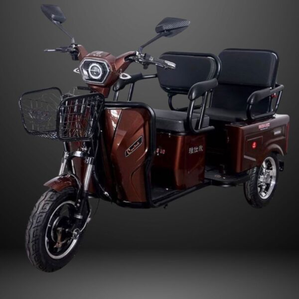 48v-electric-trike-rickshow