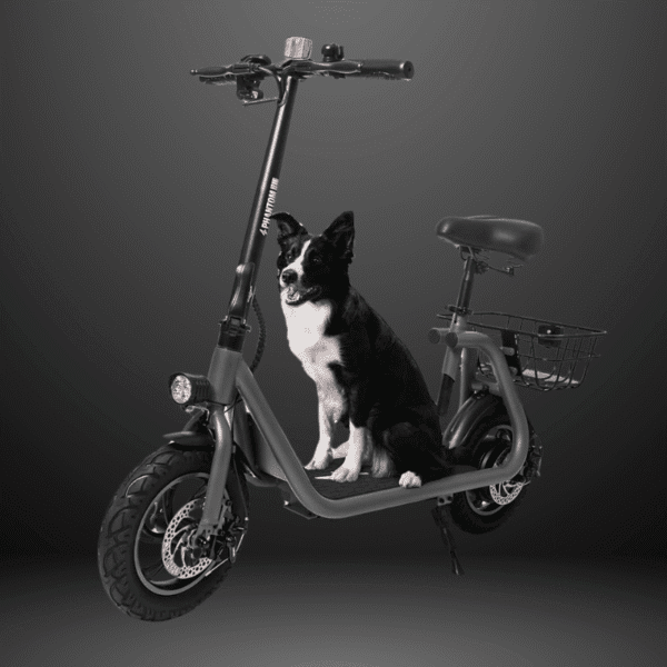 36v-r1-phantom-gogo-sitting-foldable-scooter